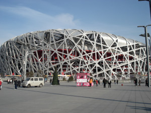 Bird's Nest Bird's Nest