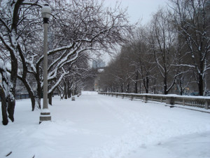 Snow Snow