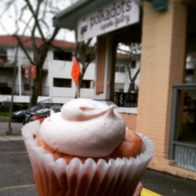 Polkadots Cupcake Factory