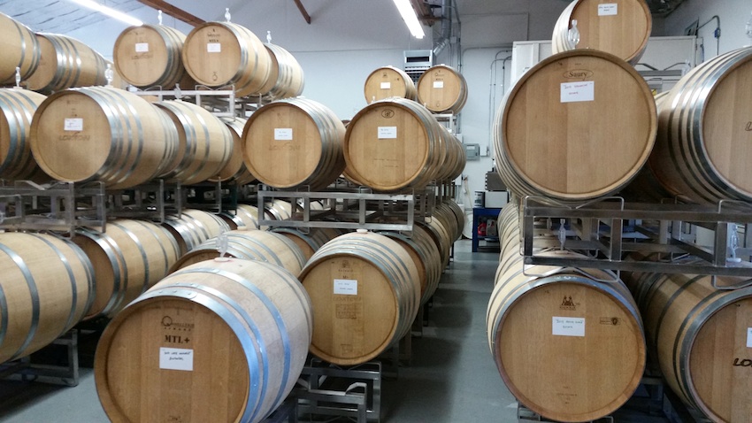 Sonoma Winery Tour