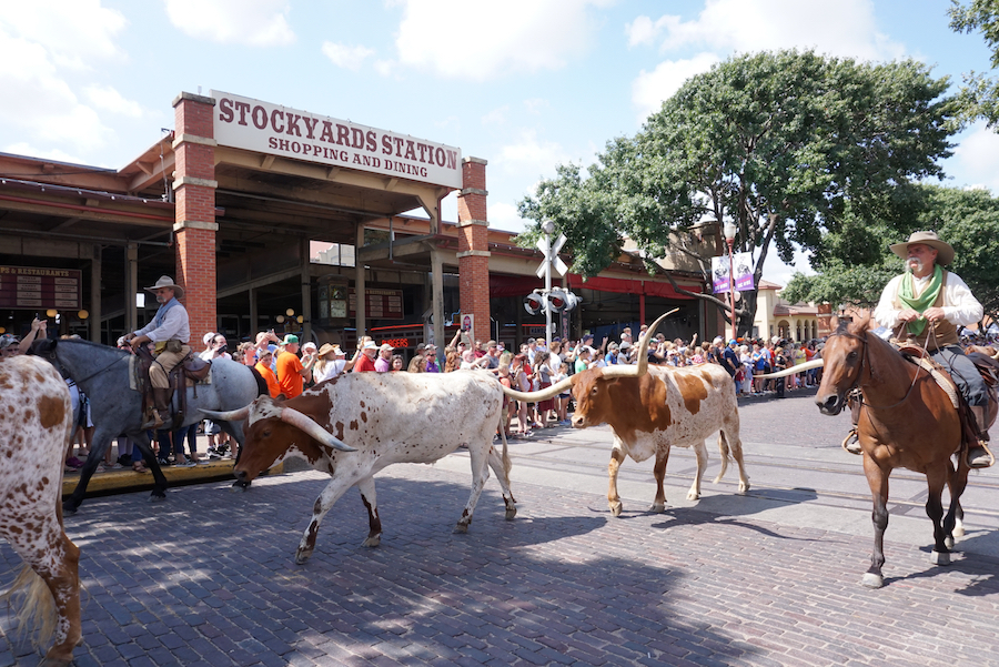 Hotels Near Fort Worth Texas Stockyards Hotels Near Fort Worth Texas Stockyards