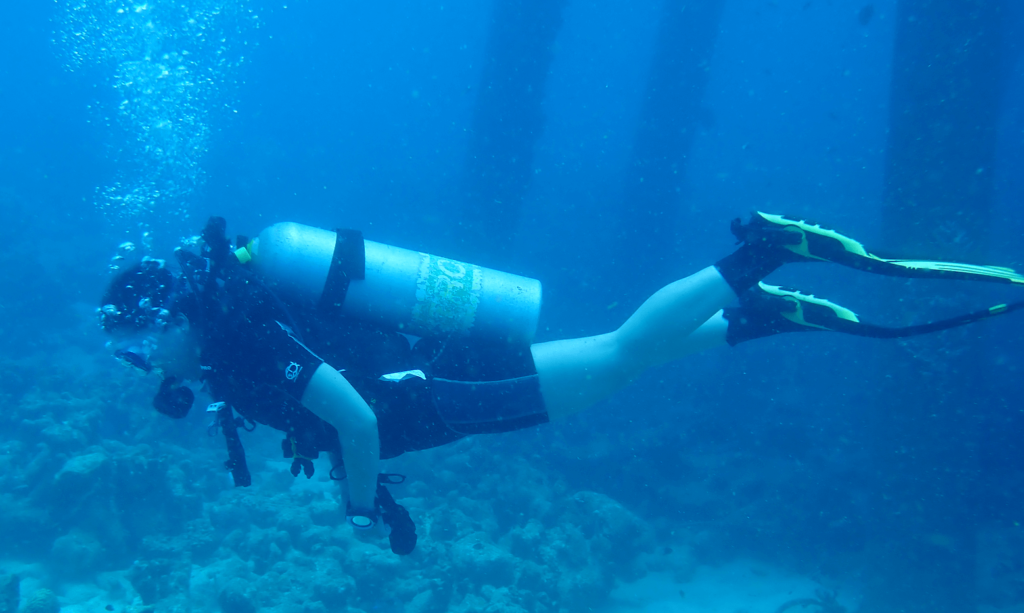 Diving in Bonaire Shore Dive Capital of the World Fearless Captivations